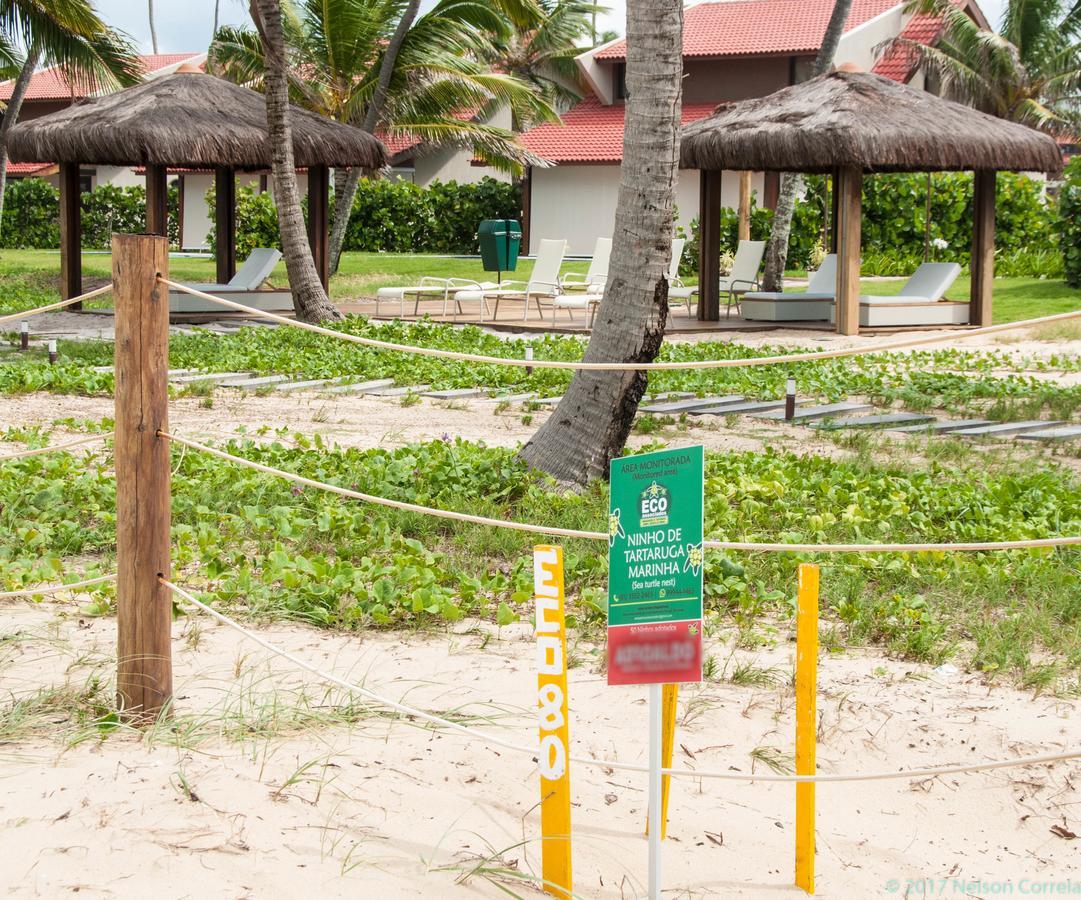 Apto Oka Beach Residence ปอร์โต จิ กาลินญาส ภายนอก รูปภาพ